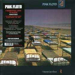 Vinyl Pink Floyd - A Momentary Lapse Of Reason, PLG, 2017, 180g