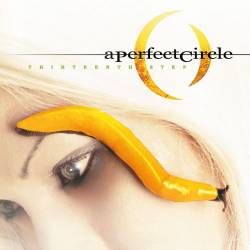 Vinyl A Perfect Circle - Thirteenth Step, Music on Vinyl, 2014, 2LP, 180g, HQ