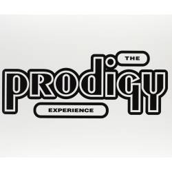 Vinyl Prodigy – The Experience, XL Recordings, 2008