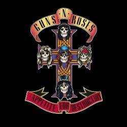Vinyl Guns N' Roses - Appetite for Destruction, Geffen, 2008, HQ