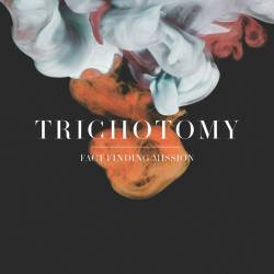 Vinyl Trichotomy - Fact Finding Mission, Naim, 2013, 180g