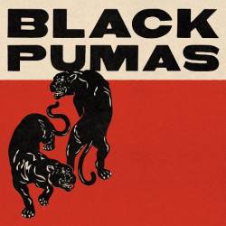 Vinyl Black Pumas - Black Pumas, ATO, 2022, 2LP, Farebný vinyl