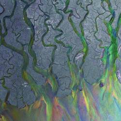 Vinyl ALT-J – An Awesome Wave, BMG, 2022, Farebný vinyl