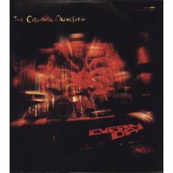 Vinyl Cinematic Orchestra - Everyday, Ninja Tune, 2001
