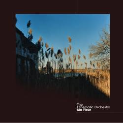 Vinyl Cinematic Orchestra – Ma Fleur, Ninja Tune, 2014, 2LP, Cardbox s 12 obrázkami