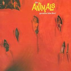 Vinyl Animals - Greatest Hits Live, Dream Catcher, 2019