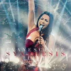 Vinyl Evanescence – Synthesis Live, Music on Vinyl, 2020, 2LP, 180g, 4 stranová brožúrka