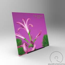 Stojan na LP Audivisions 